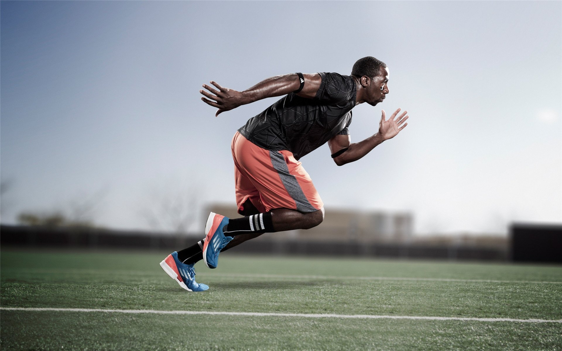 总决赛之夜，霍勒迪的关键节点，当沉默的守护者成为终结者